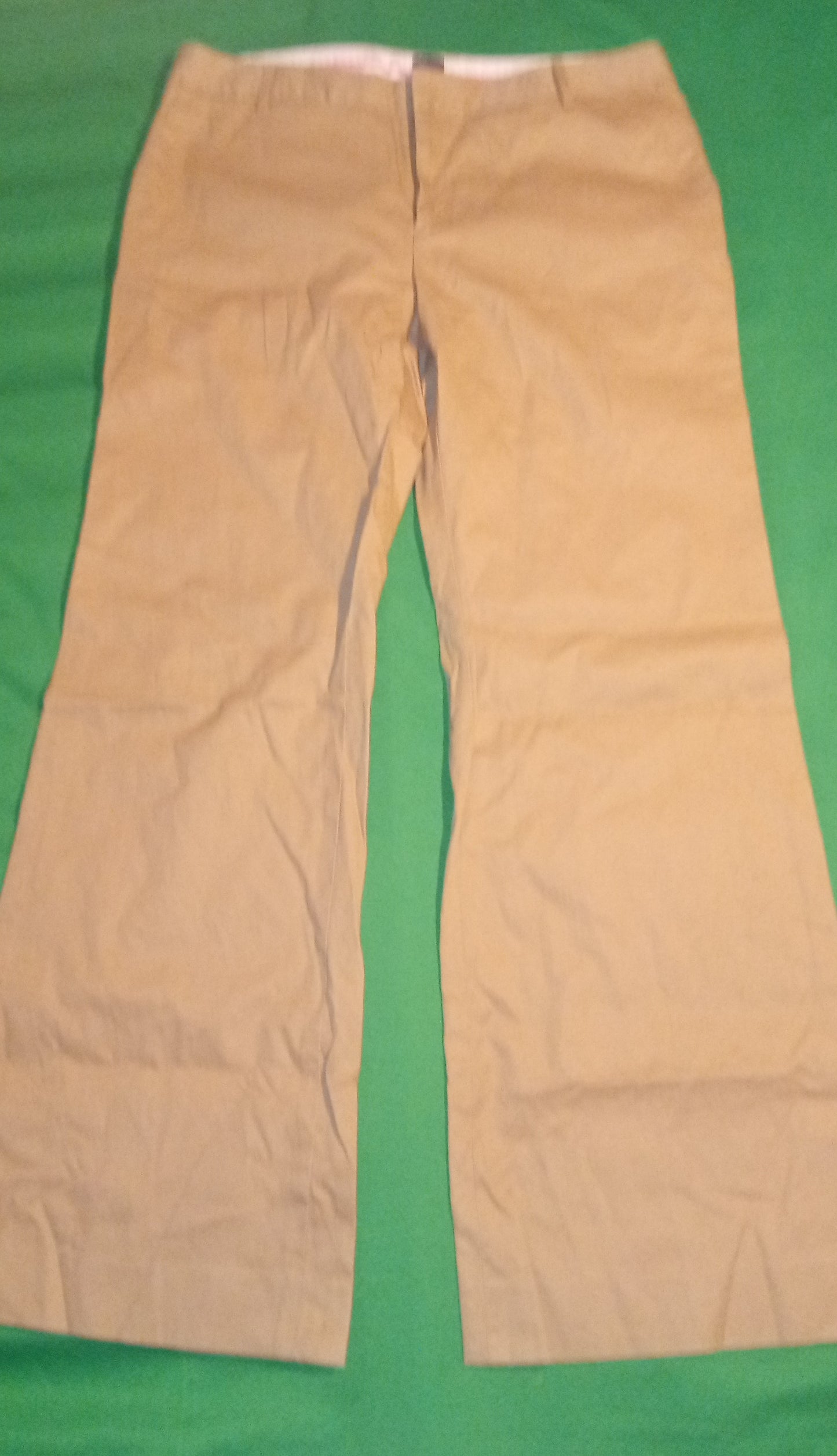 Pants Brown Used